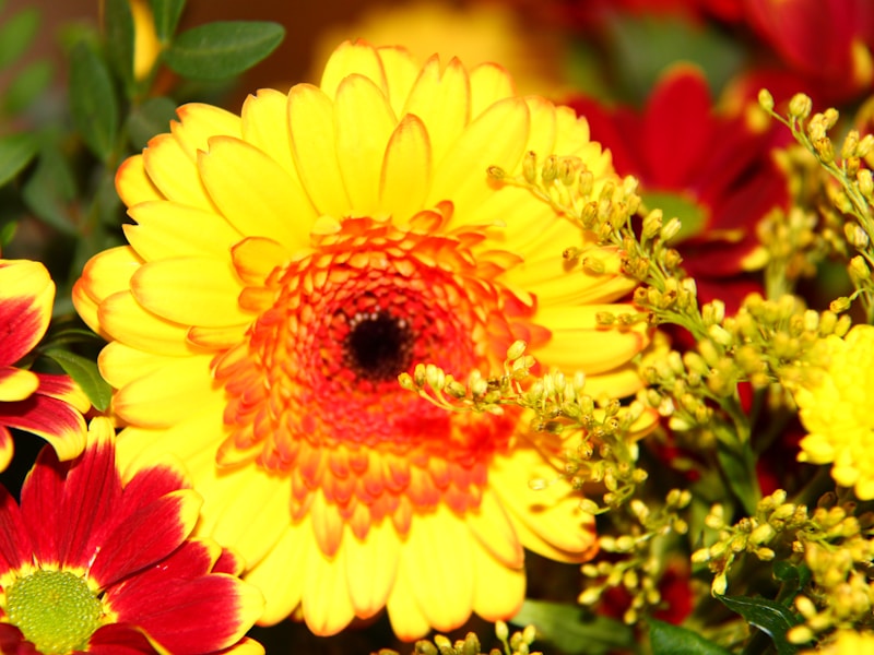 Uplifting get well flower arrangements