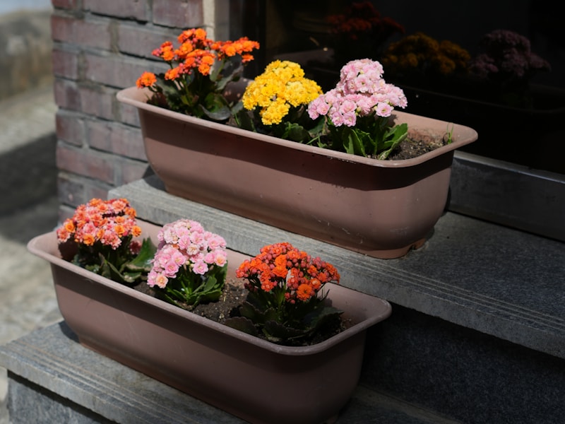 Einweihungsblumen flower arrangements