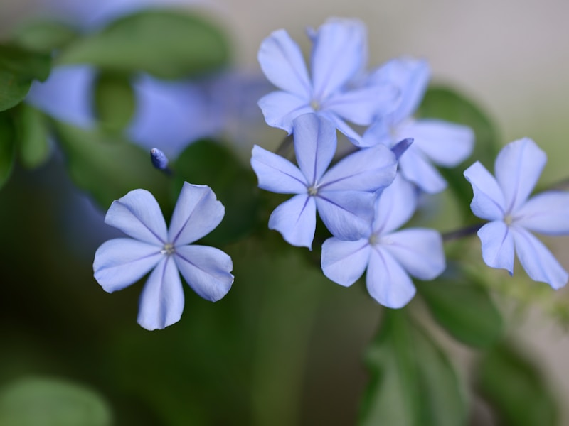 Gentle new baby flower arrangements