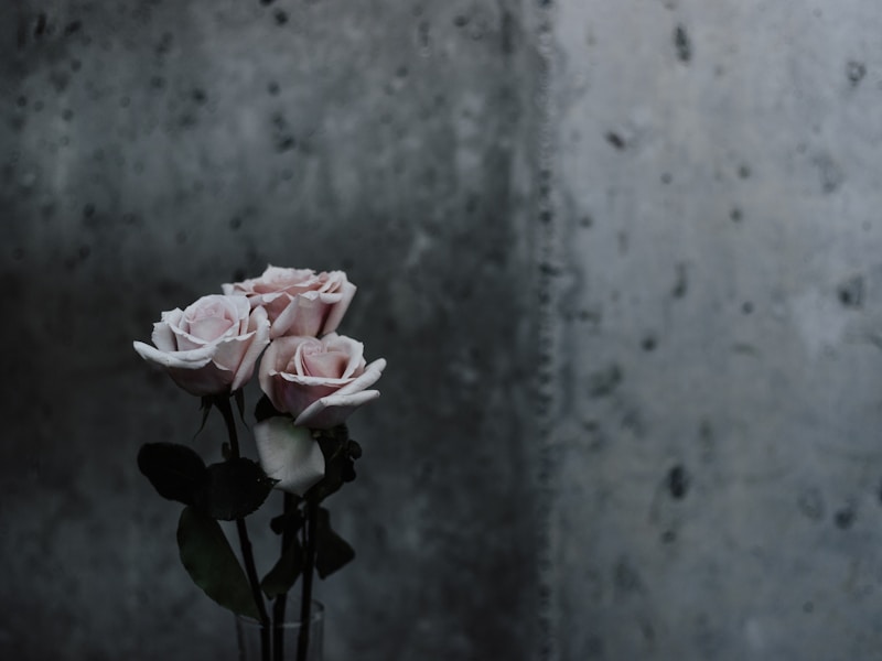 Elegant pink roses bouquet perfect for Mother's Day expressing gratitude and appreciation