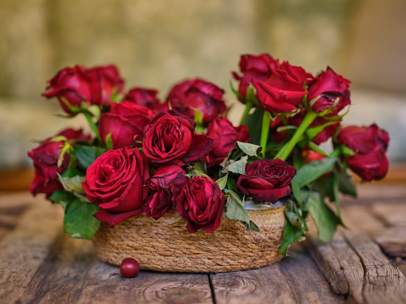 Romantic red roses Valentine's Day bouquet perfect for expressing love and commitment