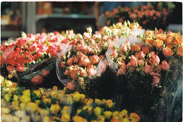 Budget-friendly flower quality assessment showing value-oriented arrangements