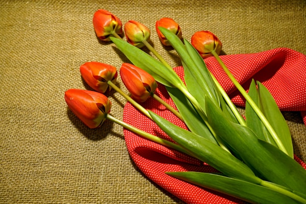 Premium Mother's Day flower arrangements for seasonal preparation