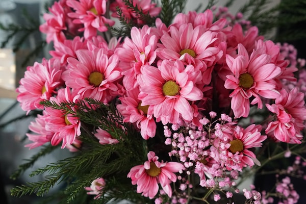 Winter flower quality assessment and seasonal testing report