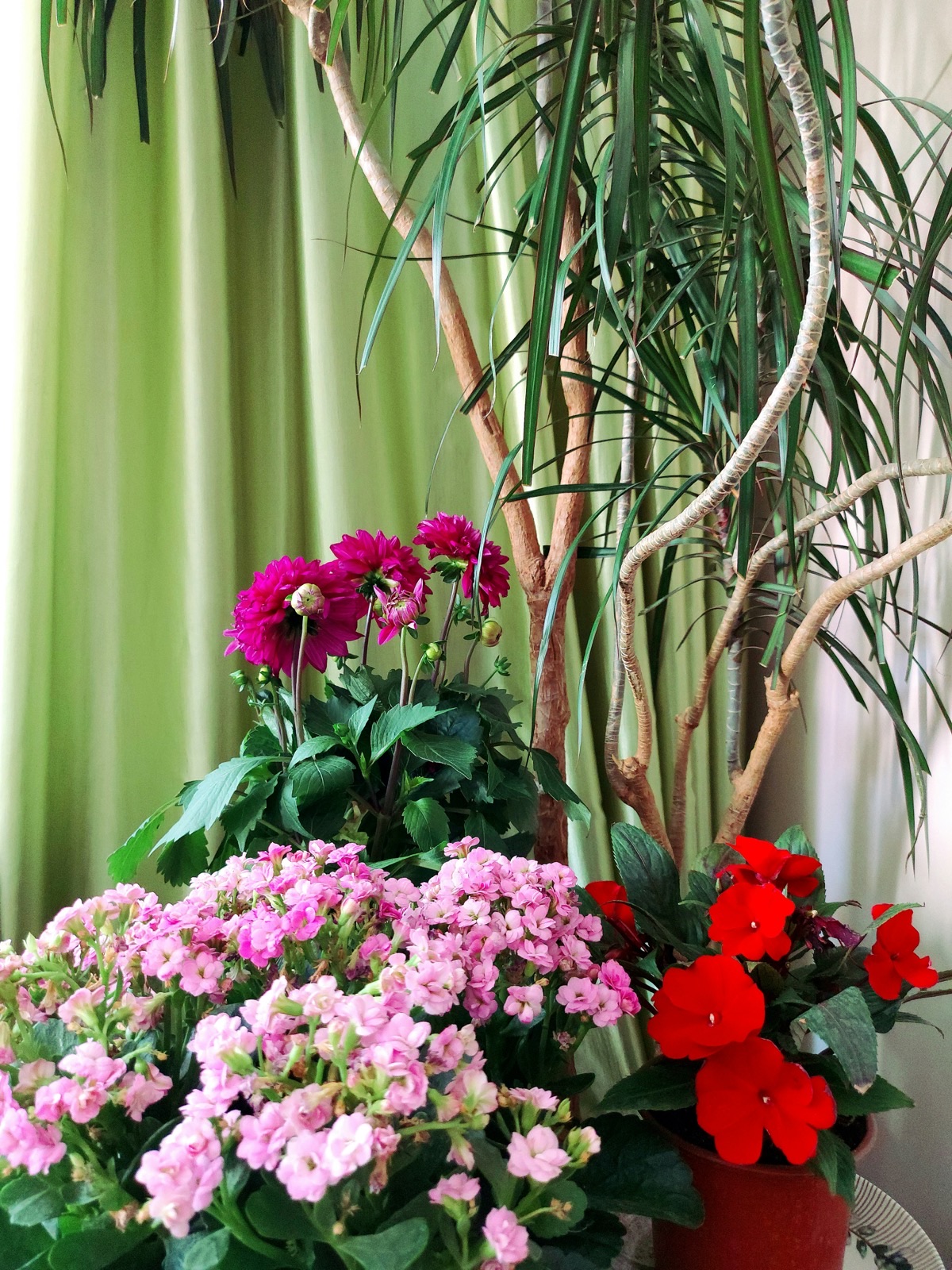 Serenata Flowers flower arrangement