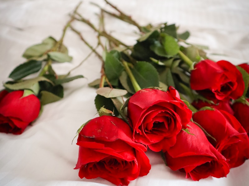 Romantic Valentine's Day flower arrangements